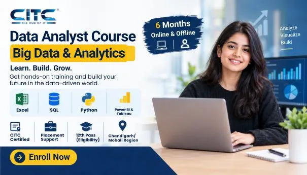 Data Analyst