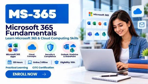MS- 365